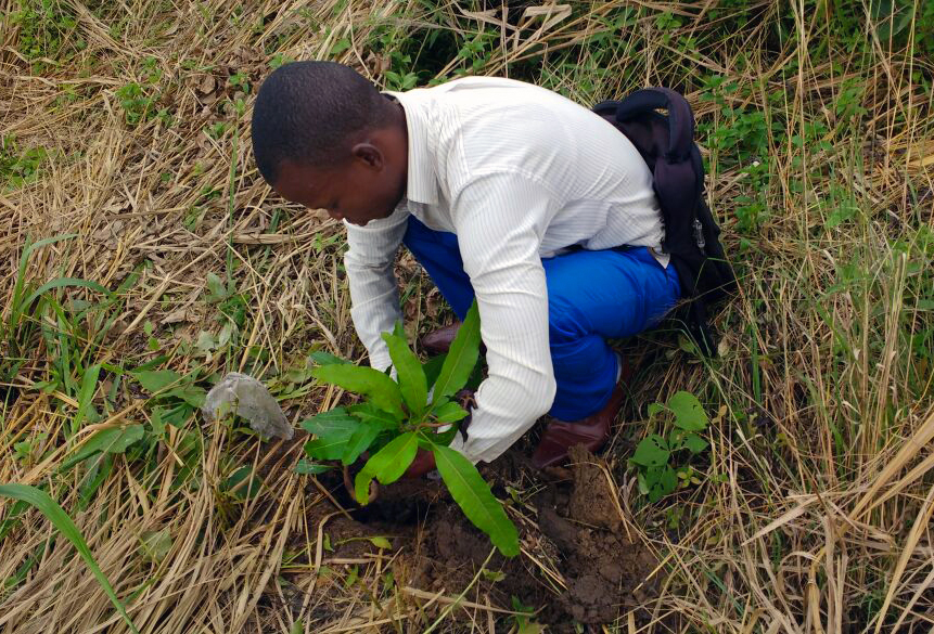 A man sets a tree sapling into the ground in Kindu, Democratic Republic of Congo. The church is working to fight against global warming and to demonstrate appreciation for God’s creation. Photo by Judith Yanga, UMNS.