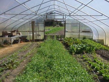 The greenhouse at Anathoth Community Garden in Cedar Grove, N.C.