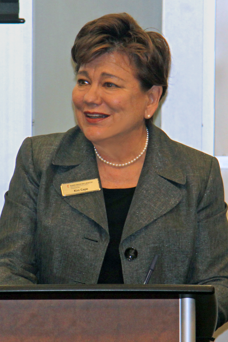 The Rev. Kim Cape, the top executive of the United Methodist Board of Higher Education and Ministry, addresses scholars at the meeting, titled “Unity of the Church and Human Sexuality.” Photo by Ebony Lincoln, Higher Education and Ministry.