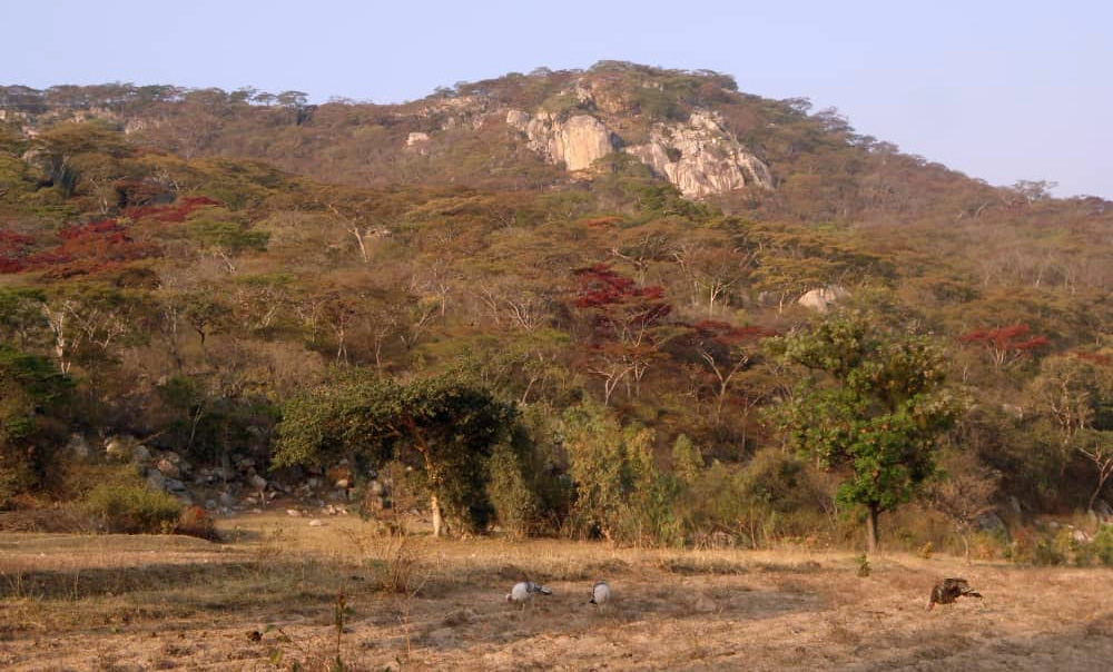 Domboshawa Mountain, north of Harare, is one of the places where Zimbabwean United Methodists go to seek God's healing and grace. Photo by Chenayi Kumuterera.