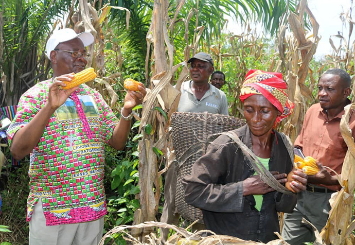 Bishop Gabriel Yemba Unda takes part in the corn harvest in a field cultivated by United Methodist Men in Eastern Congo. The men’s organization began the farming activities in 2019 in order to contribute to the fight against famine in the country. Photo by Chadrack Tambwe Londe, UM News.