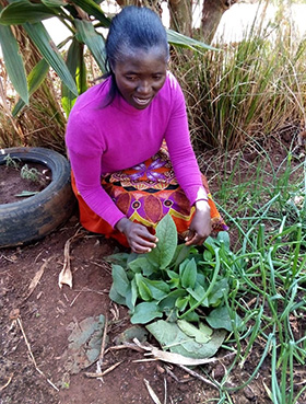 Sarudzai Muchagumisa, a member of Penhalonga United Methodist Church in Mutare, Zimbabwe, shows off her herb garden with more than 25 herbs often used to cure various ailments in Africa. Photo by Kudzai Chingwe, UM News.