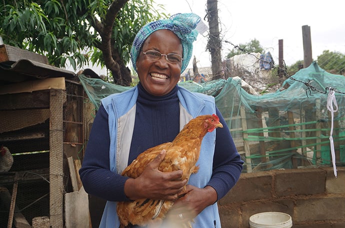 Charity Chiwawa holds a chicken from her poultry project in the Masvingo District of Zimbabwe. From her first batch of 20 birds, she had seven roosters, which she sold to buy feed for the hens. Photo by Kudzai Chingwe, UM News.