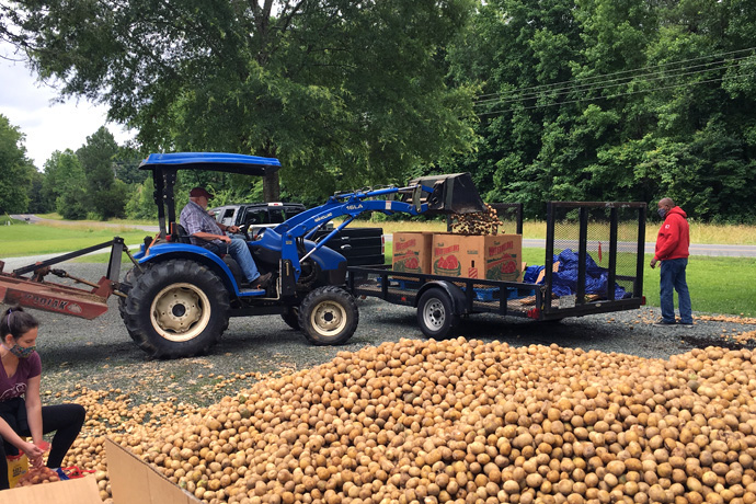 B.J. Copeland uses a tractor to load potatoes in the parking lot of Pleasant Hill United Methodist Church in Pittsboro, N.C., this past summer. Copeland recruited several fellow Rotary Club members to help with the challenge of transporting the produce. Photo courtesy of B.J. Copeland.