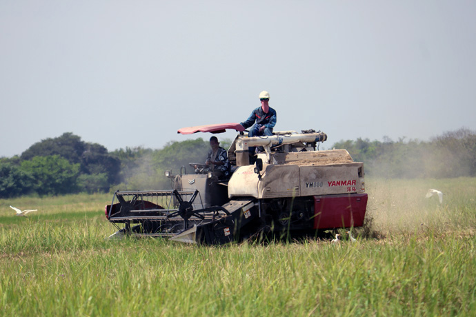 A combine harvester works the fields at Gbondapi farmland in Pujehun, Sierra Leone, saving the farmers’ time and energy. Mechanized farming is not new in Sierra Leone, but it used to be a privilege enjoyed by only a few farmers. The news that the Bishop Yambasu Agriculture Initiative will be using machinery to cultivate, harvest and mill rice in the new planting season has excited farming communities to support the program. Photo by Phileas Jusu, UM News.