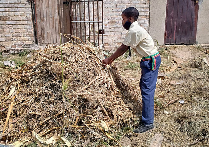 Bonyongwa Rememberence does chores after class at Chinyauhwera High School in Mutare, Zimbabwe, to raise money for school fees. He received a scholarship in 2021 from local businessman Isaiah Musabayana, a former student at the school. Photo by Kudzai Chingwe, UM News. 