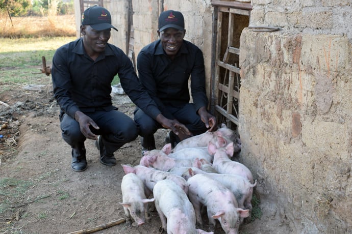 Tendai Mayor and Farai Lawyer Katonha, presidents and founders of the Twins Association of Zimbabwe, tend to piglets at a piggery in rural Seke, Zimbabwe. The piggery project was started to raise funds for the association's programs. The brothers attend Seke South United Methodist Church. Photo by Eveline Chikwanah, UM News. 