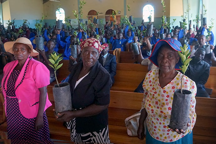 Church members show off the trees they will take home. In addition to planting trees at United Methodist Murewa Mission in Zimbabwe, the church distributed trees to each teacher and congregant to plant at home. Photo by Kudzai Chingwe, UM News.